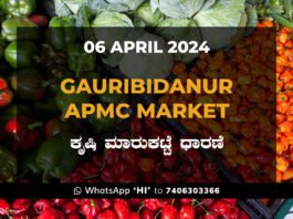 Gauribidanur APMC Agriculture Market ಗೌರಿಬಿದನೂರು ಕೃಷಿ ಮಾರುಕಟ್ಟೆ ಧಾರಣೆ
