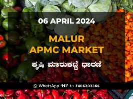 Malur APMC Agriculture Market ಮಾಲೂರು ಕೃಷಿ ಮಾರುಕಟ್ಟೆ ಧಾರಣೆ