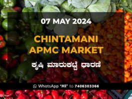 Chintamani APMC Agriculture Market ಚಿಂತಾಮಣಿ ಕೃಷಿ ಮಾರುಕಟ್ಟೆ ಧಾರಣೆ