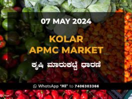 Kolar APMC Agriculture Market ಕೋಲಾರ ಕೃಷಿ ಮಾರುಕಟ್ಟೆ ಧಾರಣೆ
