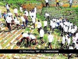Chikkaballapur Kalyani Cleaning Advocates