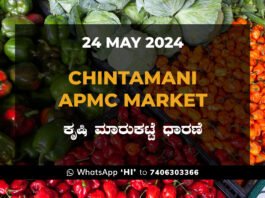 Chintamani APMC Agriculture Market ಚಿಂತಾಮಣಿ ಕೃಷಿ ಮಾರುಕಟ್ಟೆ ಧಾರಣೆ