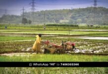 ಕೃಷಿ ಪ್ರಶಸ್ತಿಗೆ ಅರ್ಜಿ ಅಹ್ವಾನ Government Agriculture award Application