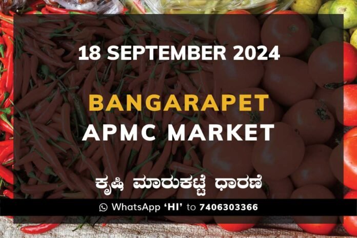 18Sep24C1c Bangarapet APMC Agriculture Market ಬಂಗಾರಪೇಟೆ ಕೃಷಿ ಮಾರುಕಟ್ಟೆ ಧಾರಣೆ