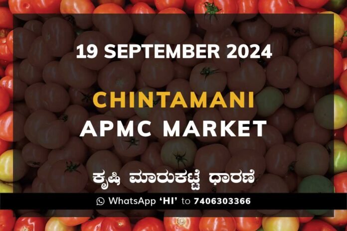 Chintamani APMC Agriculture Market ಚಿಂತಾಮಣಿ ಕೃಷಿ ಮಾರುಕಟ್ಟೆ ಧಾರಣೆ