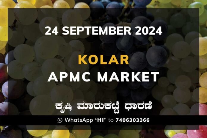 24Sep24C1b Kolar APMC Agriculture Market ಕೋಲಾರ ಕೃಷಿ ಮಾರುಕಟ್ಟೆ ಧಾರಣೆ