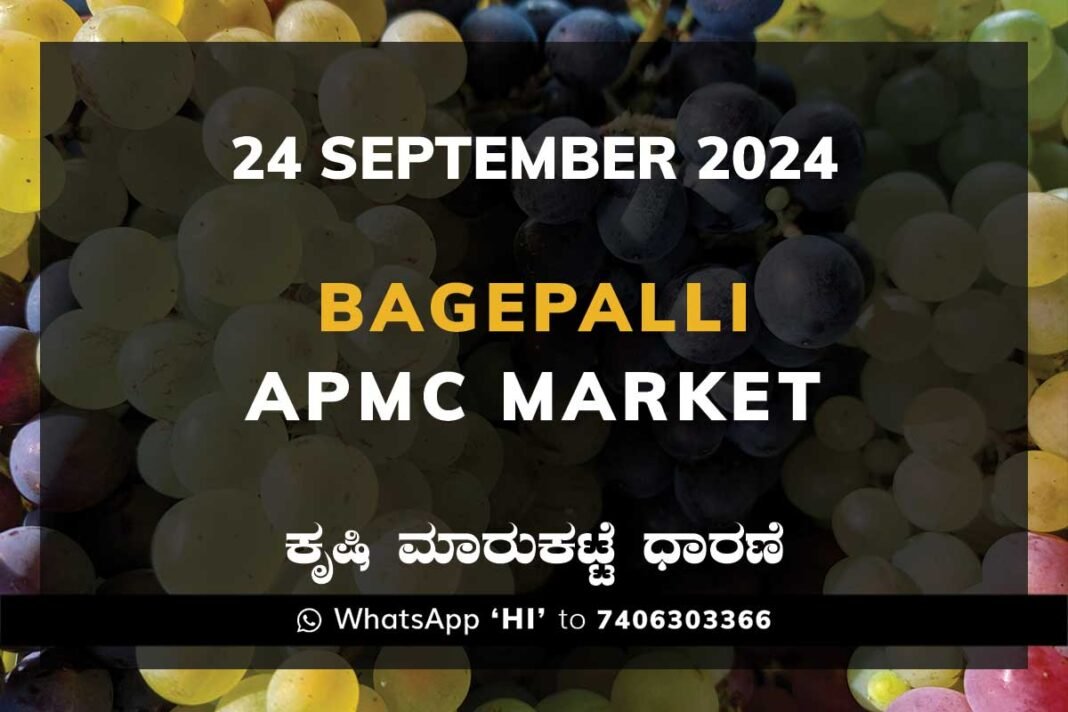 Bagepalli APMC Agriculture Market ಬಾಗೇಪಲ್ಲಿ ಕೃಷಿ ಮಾರುಕಟ್ಟೆ ಧಾರಣೆ