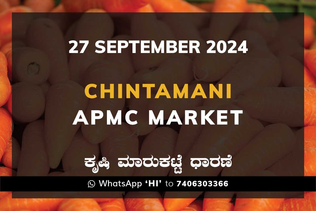 Chintamani APMC Agriculture Market ಚಿಂತಾಮಣಿ ಕೃಷಿ ಮಾರುಕಟ್ಟೆ ಧಾರಣೆ