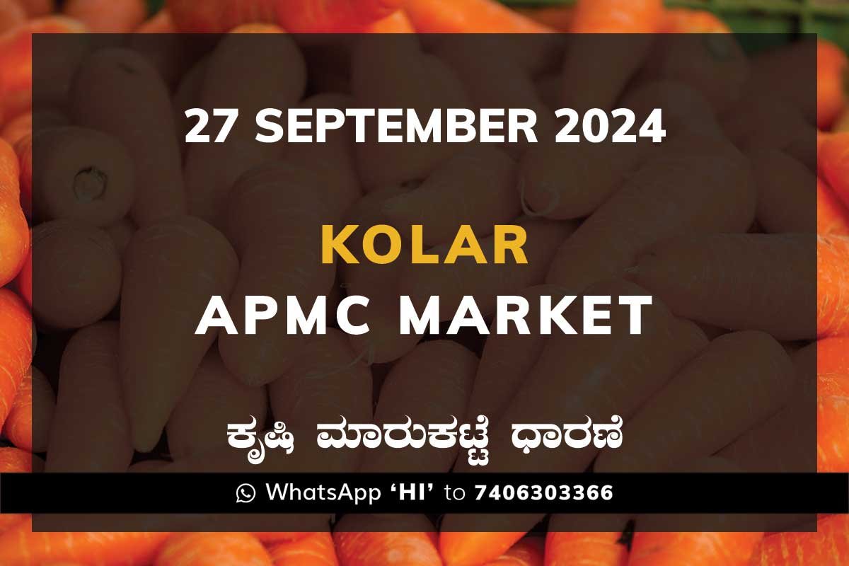 Kolar APMC Agriculture Market ಕೋಲಾರ ಕೃಷಿ ಮಾರುಕಟ್ಟೆ ಧಾರಣೆ