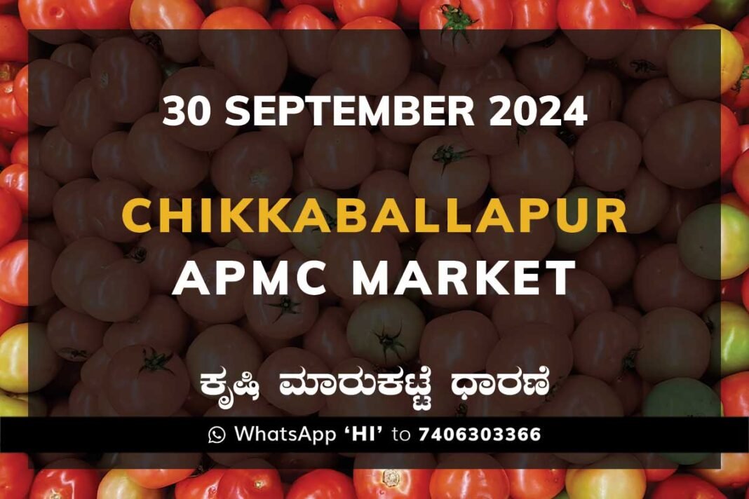 Chikkaballapur APMC Agriculture Market ಚಿಕ್ಕಬಳ್ಳಾಪುರ ಕೃಷಿ ಮಾರುಕಟ್ಟೆ ಧಾರಣೆ