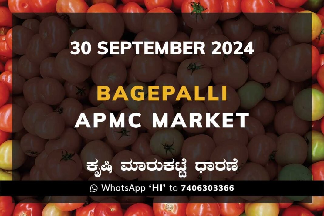 Bagepalli APMC Agriculture Market ಬಾಗೇಪಲ್ಲಿ ಕೃಷಿ ಮಾರುಕಟ್ಟೆ ಧಾರಣೆ