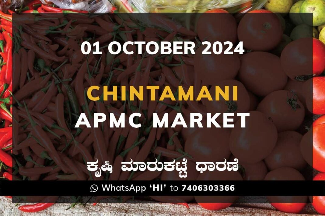 Chintamani APMC Agriculture Market ಚಿಂತಾಮಣಿ ಕೃಷಿ ಮಾರುಕಟ್ಟೆ ಧಾರಣೆ