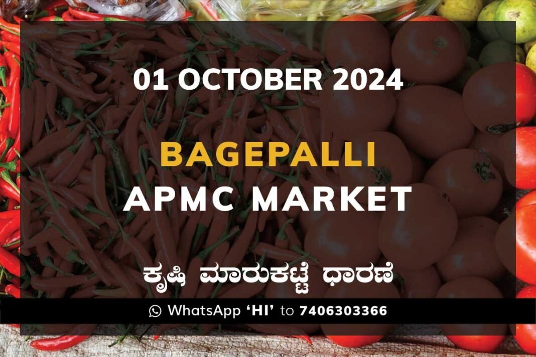 Bagepalli APMC Agriculture Market ಬಾಗೇಪಲ್ಲಿ ಕೃಷಿ ಮಾರುಕಟ್ಟೆ ಧಾರಣೆ