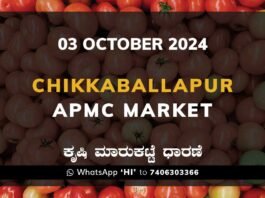 Chikkaballapur APMC Agriculture Market ಚಿಕ್ಕಬಳ್ಳಾಪುರ ಕೃಷಿ ಮಾರುಕಟ್ಟೆ ಧಾರಣೆ