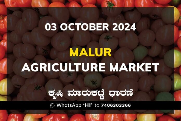 Malur APMC Agriculture Market ಮಾಲೂರು ಕೃಷಿ ಮಾರುಕಟ್ಟೆ ಧಾರಣೆ