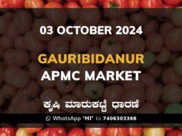 Gauribidanur APMC Agriculture Market ಗೌರಿಬಿದನೂರು ಕೃಷಿ ಮಾರುಕಟ್ಟೆ ಧಾರಣೆ