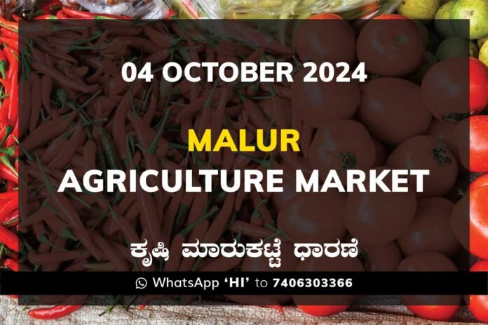 04Oct24fd Malur APMC Agriculture Market ಮಾಲೂರು ಕೃಷಿ ಮಾರುಕಟ್ಟೆ ಧಾರಣೆ