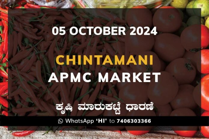 05Oct24ca Chintamani APMC Agriculture Market ಚಿಂತಾಮಣಿ ಕೃಷಿ ಮಾರುಕಟ್ಟೆ ಧಾರಣೆ