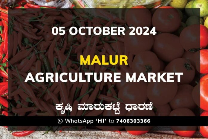 Malur APMC Agriculture Market ಮಾಲೂರು ಕೃಷಿ ಮಾರುಕಟ್ಟೆ ಧಾರಣೆ