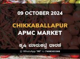 Chikkaballapur APMC Agriculture Market ಚಿಕ್ಕಬಳ್ಳಾಪುರ ಕೃಷಿ ಮಾರುಕಟ್ಟೆ ಧಾರಣೆ