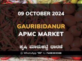 Gauribidanur APMC Agriculture Market ಗೌರಿಬಿದನೂರು ಕೃಷಿ ಮಾರುಕಟ್ಟೆ ಧಾರಣೆ