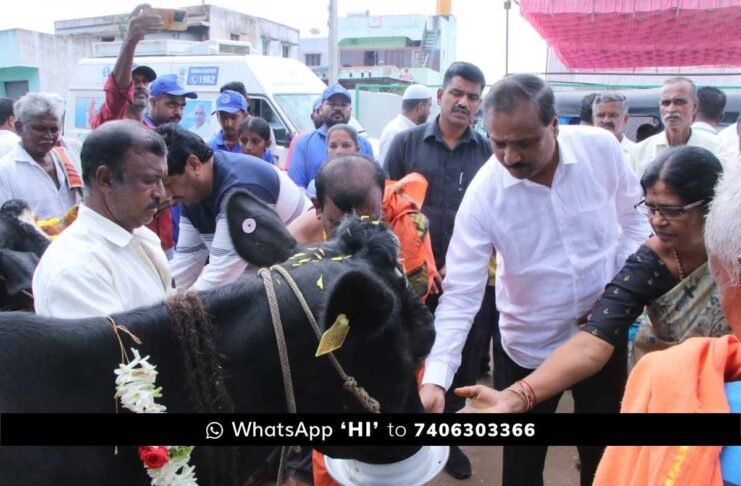 Foot and Mouth Disease Vaccination Program Gauribidanur