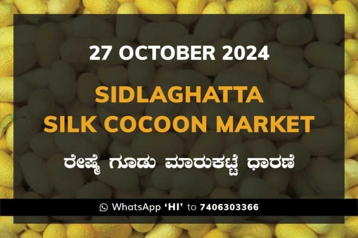 27Oct24Ki