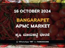 Bangarapet APMC Agriculture Market ಬಂಗಾರಪೇಟೆ ಕೃಷಿ ಮಾರುಕಟ್ಟೆ ಧಾರಣೆ