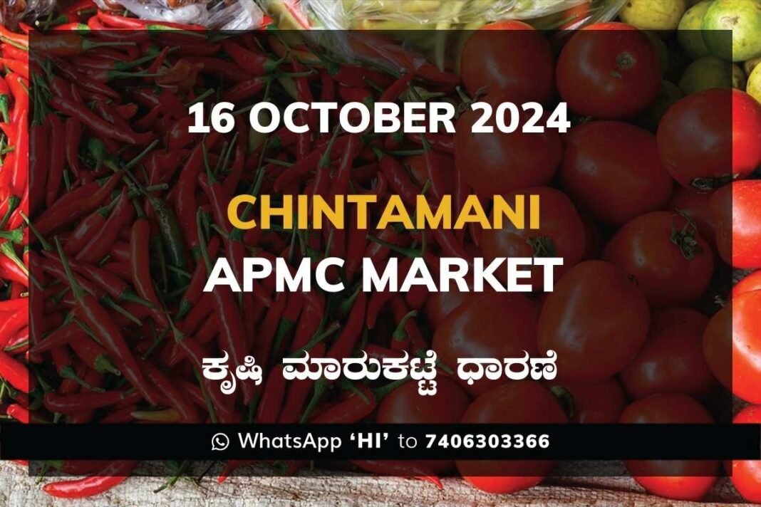 Chintamani APMC Agriculture Market ಚಿಂತಾಮಣಿ ಕೃಷಿ ಮಾರುಕಟ್ಟೆ ಧಾರಣೆ