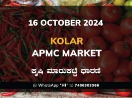 Kolar APMC Agriculture Market ಕೋಲಾರ ಕೃಷಿ ಮಾರುಕಟ್ಟೆ ಧಾರಣೆ