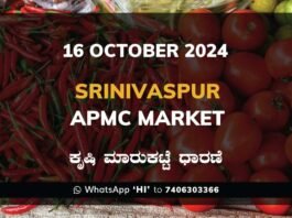 Srinivaspur APMC Agriculture Market Daily Price Report ಶ್ರೀನಿವಾಸಪುರ ಕೃಷಿ ಮಾರುಕಟ್ಟೆ ಧಾರಣೆ