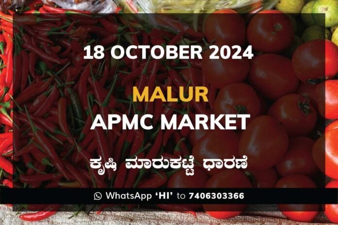 Malur APMC Agriculture Market ಮಾಲೂರು ಕೃಷಿ ಮಾರುಕಟ್ಟೆ ಧಾರಣೆ