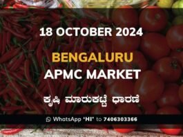 Bengaluru APMC Agriculture Market Daily Price Report ಬೆಂಗಳೂರು ಕೃಷಿ ಮಾರುಕಟ್ಟೆ ಧಾರಣೆ