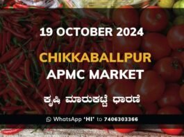 Chikkaballapur APMC Agriculture Market Daily Price Rate List ಚಿಕ್ಕಬಳ್ಳಾಪುರ ಕೃಷಿ ಮಾರುಕಟ್ಟೆ ಧಾರಣೆ