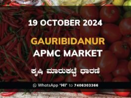 Gauribidanur APMC Agriculture Market ಗೌರಿಬಿದನೂರು ಕೃಷಿ ಮಾರುಕಟ್ಟೆ ಧಾರಣೆ