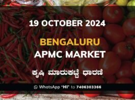 Bengaluru APMC Agriculture Market Daily Price Report ಬೆಂಗಳೂರು ಕೃಷಿ ಮಾರುಕಟ್ಟೆ ಧಾರಣೆ