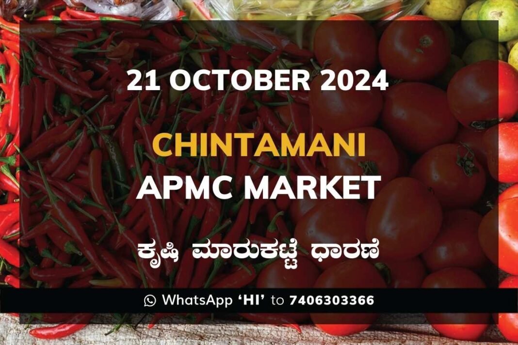 Chintamani APMC Agriculture Market ಚಿಂತಾಮಣಿ ಕೃಷಿ ಮಾರುಕಟ್ಟೆ ಧಾರಣೆ