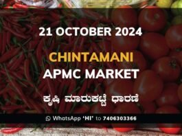 Chintamani APMC Agriculture Market ಚಿಂತಾಮಣಿ ಕೃಷಿ ಮಾರುಕಟ್ಟೆ ಧಾರಣೆ