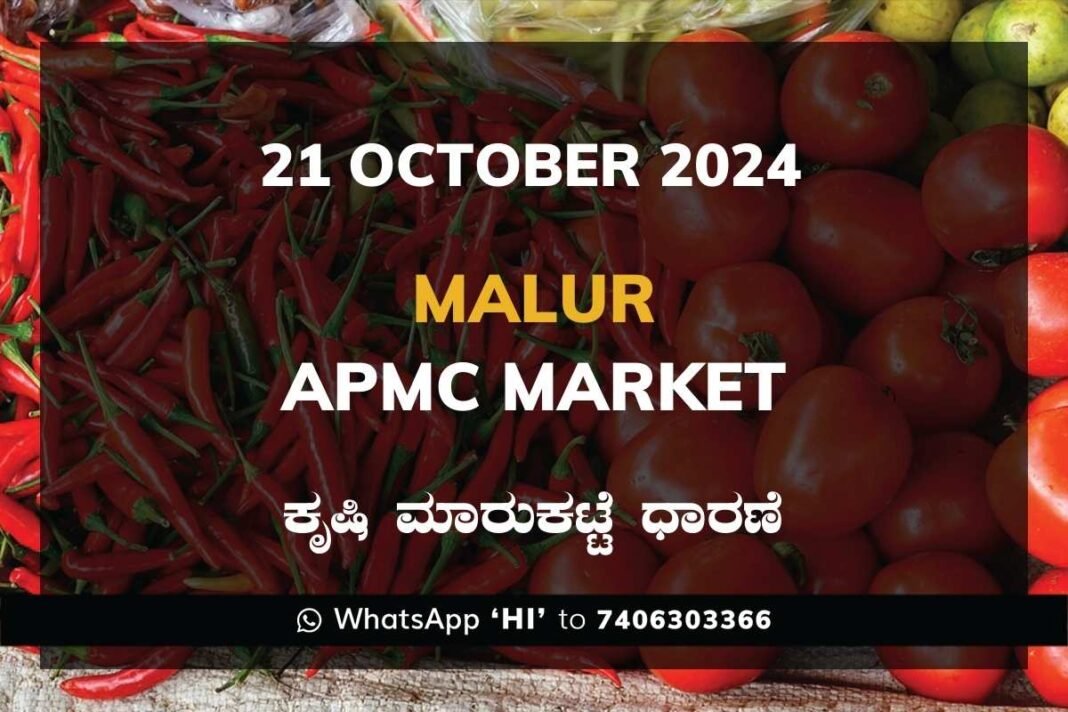 Malur APMC Agriculture Market ಮಾಲೂರು ಕೃಷಿ ಮಾರುಕಟ್ಟೆ ಧಾರಣೆ