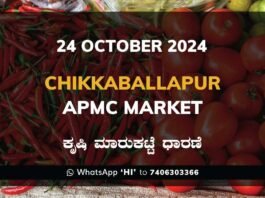 Chikkaballapur APMC Agriculture Market Daily Price Rate List ಚಿಕ್ಕಬಳ್ಳಾಪುರ ಕೃಷಿ ಮಾರುಕಟ್ಟೆ ಧಾರಣೆ