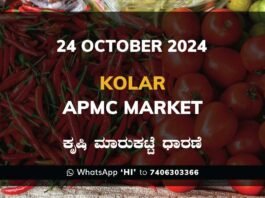 Kolar APMC Agriculture Market ಕೋಲಾರ ಕೃಷಿ ಮಾರುಕಟ್ಟೆ ಧಾರಣೆ