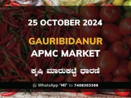 Gauribidanur APMC Agriculture Market ಗೌರಿಬಿದನೂರು ಕೃಷಿ ಮಾರುಕಟ್ಟೆ ಧಾರಣೆ