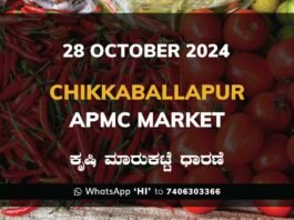 Chikkaballapur APMC Agriculture Market Daily Price Rate List ಚಿಕ್ಕಬಳ್ಳಾಪುರ ಕೃಷಿ ಮಾರುಕಟ್ಟೆ ಧಾರಣೆ