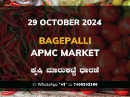 Bagepalli APMC Agriculture Market ಬಾಗೇಪಲ್ಲಿ ಕೃಷಿ ಮಾರುಕಟ್ಟೆ ಧಾರಣೆ