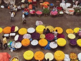 Chikkaballapur Flower Market