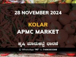 Kolar APMC Agriculture Market Daily Price Report ಕೋಲಾರ ಕೃಷಿ ಮಾರುಕಟ್ಟೆ ಧಾರಣೆ