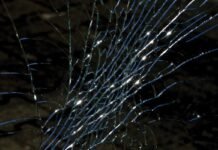 ಚಿಂತಾಮಣಿ: ಬೈಕ್ ಅಪಘಾತದಲ್ಲಿ ಮಹಿಳೆ ಸ್ಥಳದಲ್ಲೇ ದಾರುಣ ಮರಣ Road Accident