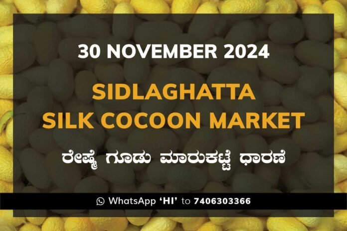 30Nov24Ki