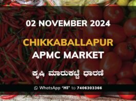 Chikkaballapur APMC Agriculture Market Daily Price Rate List ಚಿಕ್ಕಬಳ್ಳಾಪುರ ಕೃಷಿ ಮಾರುಕಟ್ಟೆ ಧಾರಣೆ