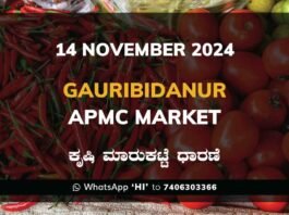 Gauribidanur APMC Agriculture Market ಗೌರಿಬಿದನೂರು ಕೃಷಿ ಮಾರುಕಟ್ಟೆ ಧಾರಣೆ